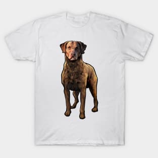 Chesapeake Bay Retriever Dog T-Shirt